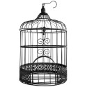 Tirelire Cage à Oiseaux