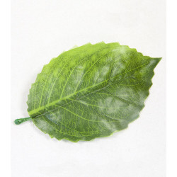 2 feuilles d'hortensia artificielles