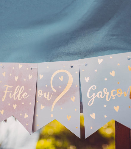 Guirlande gender reveal 11 fanions carton