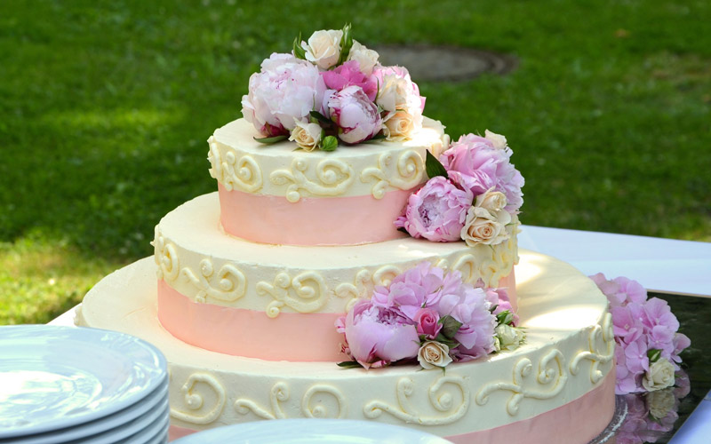Comment réaliser une décoration végétale sur un gâteau ? - Marie