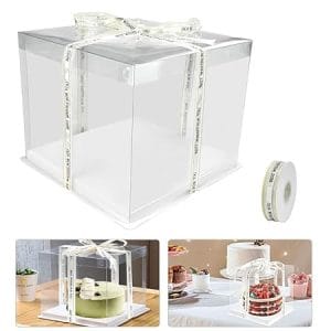 Boîte à gâteaux transparente 10 pouces double couche avec ruban, idéal pour mariage et baptême