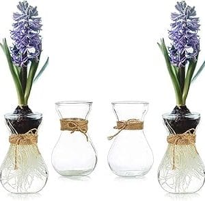 Lot de 6 vases en verre transparent avec ficelle pour décoration de mariage, baptême et communion